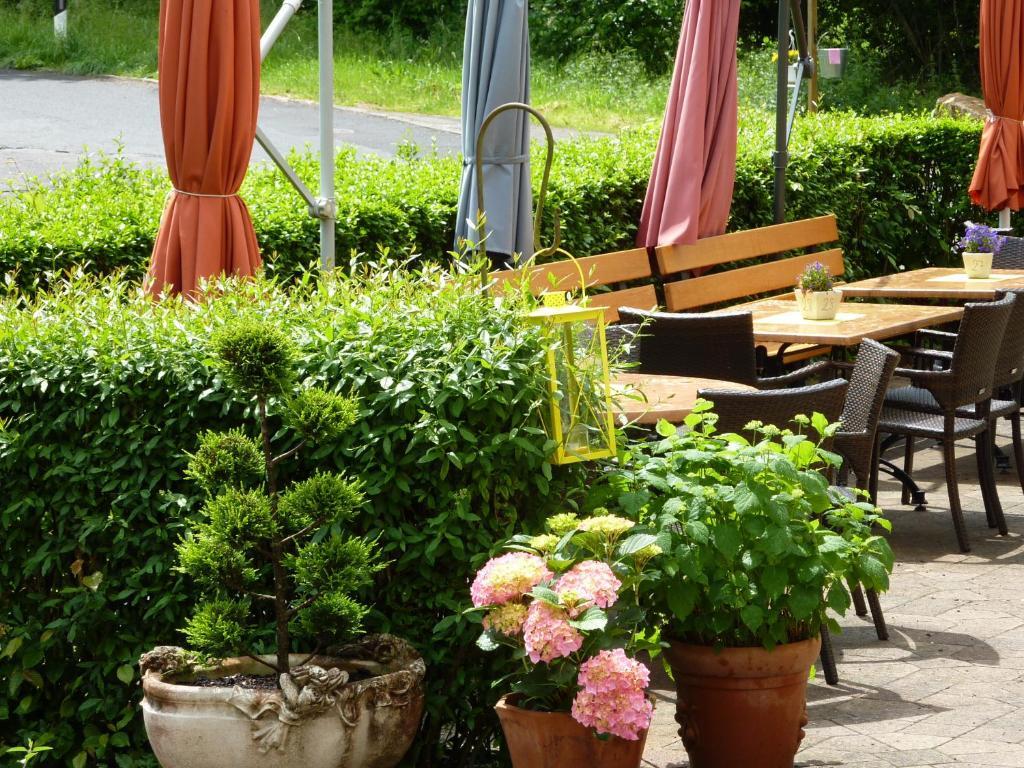 Hotel Waldschloesschen Plein Exterior photo